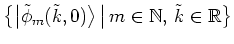 $\big\{ \big\vert \tilde{\phi}_m(\tilde{k},0) \big> \, \big\vert \, m\in\mathbb{N}, \, \tilde{k}\in\mathbb{R}\big\}$