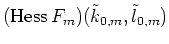 $(\mbox{Hess}\, F_m)(\tilde{k}_{0,m},\tilde{l}_{0,m})$